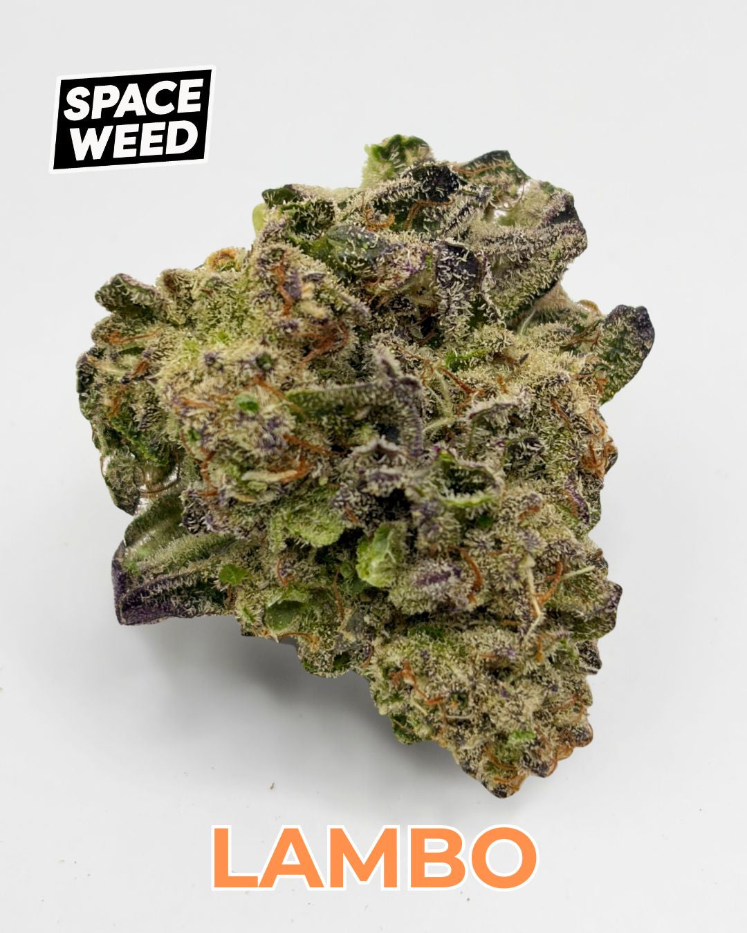 Lambo Candy