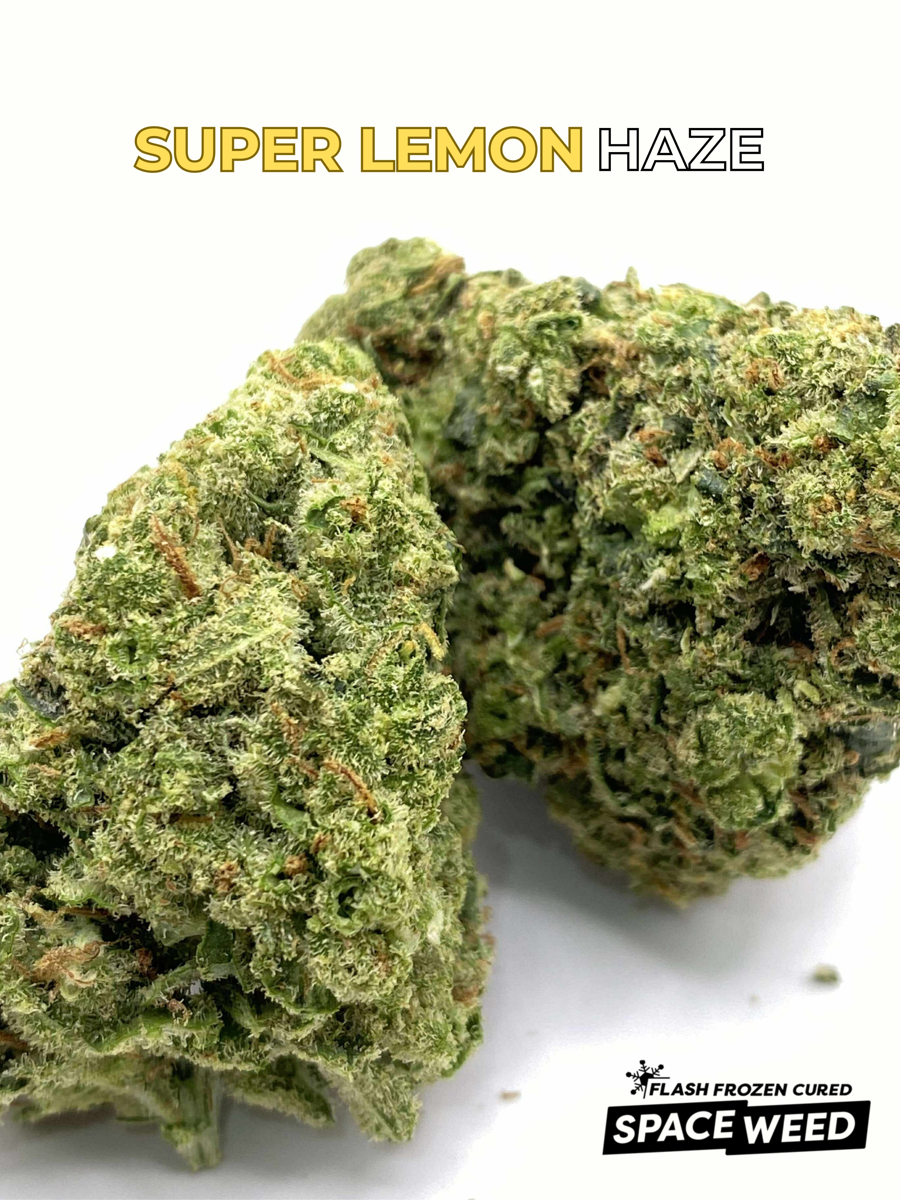 SUPER_LEMON3.jpg?v=1764016663&