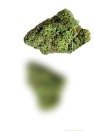 banner_icon